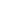 Elder Abuse